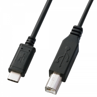 강원전자 산와서플라이 USB2.0 CM-BM 케이블 2m KU-CB20